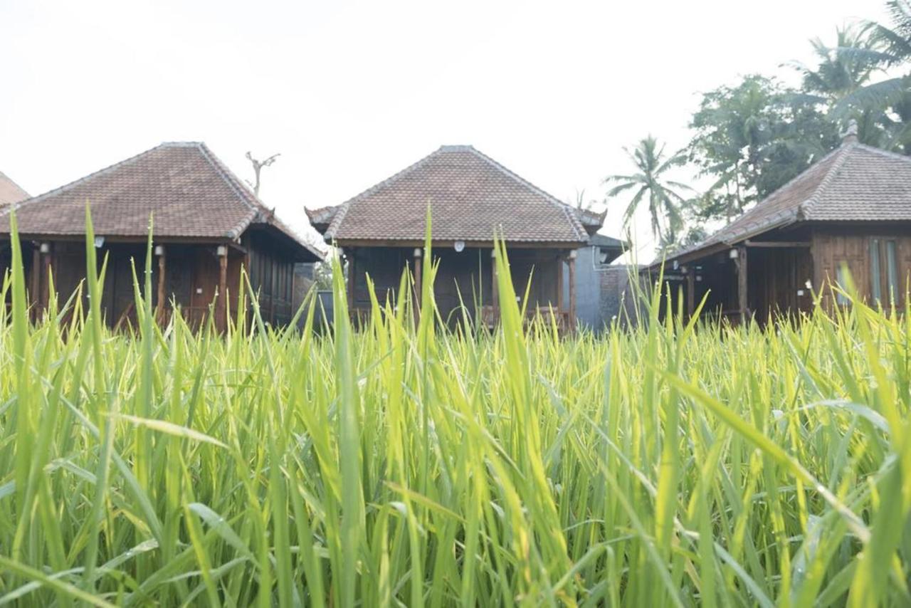 Kishi-Kishi Hotel Ubud  Exterior photo