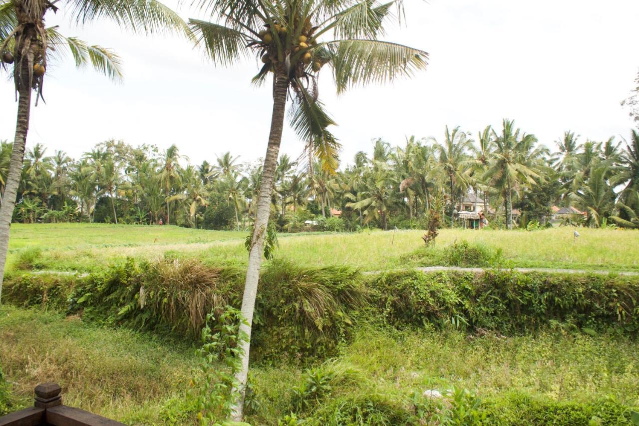 Kishi-Kishi Hotel Ubud  Exterior photo