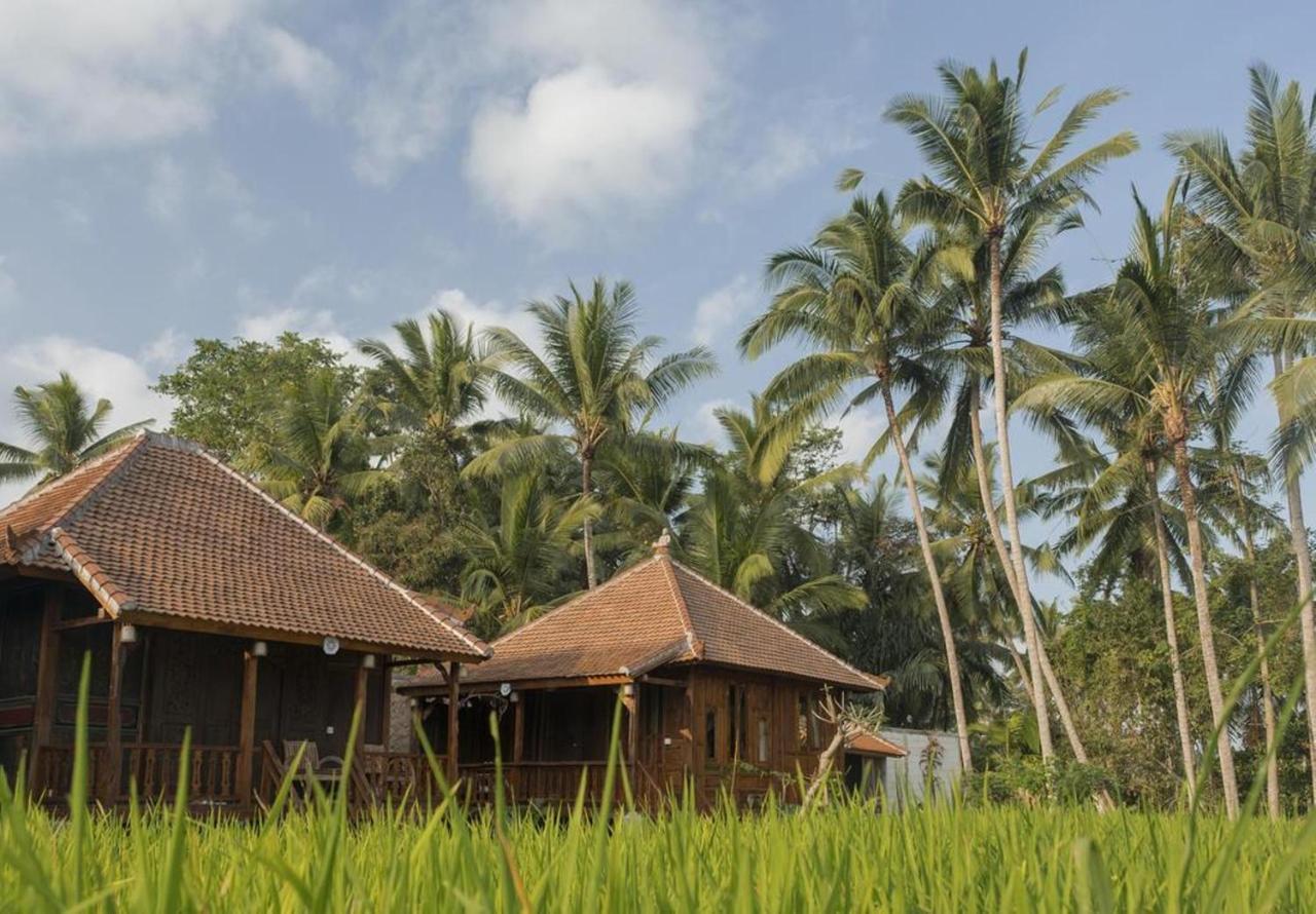 Kishi-Kishi Hotel Ubud  Exterior photo